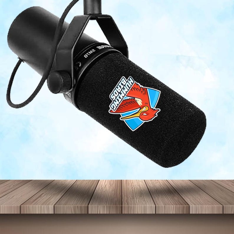Custom cover for my podcast setup — fits perfectly. Thanks IT Wheel!